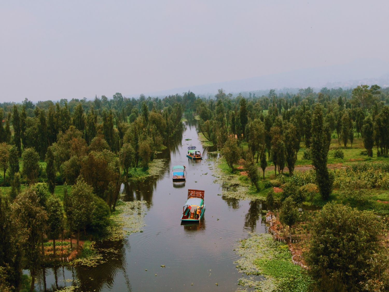 México - Image 4